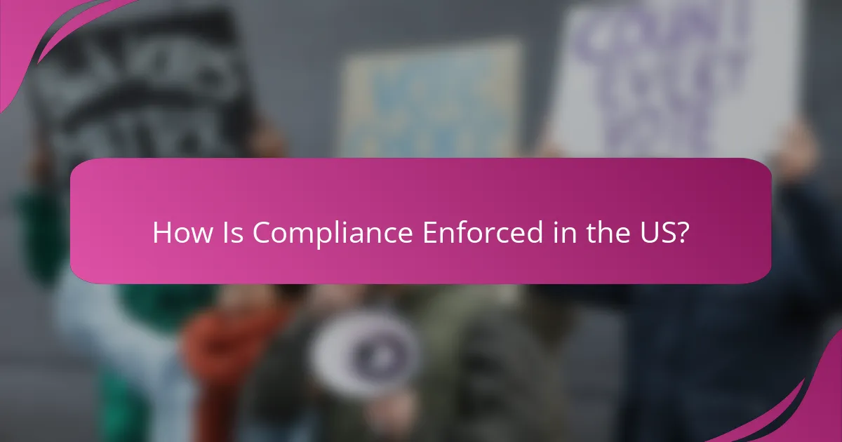 How Is Compliance Enforced in the US?