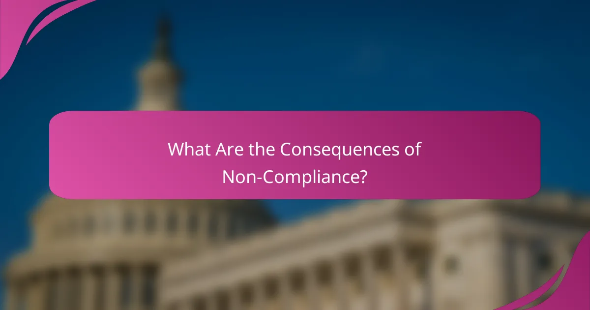What Are the Consequences of Non-Compliance?