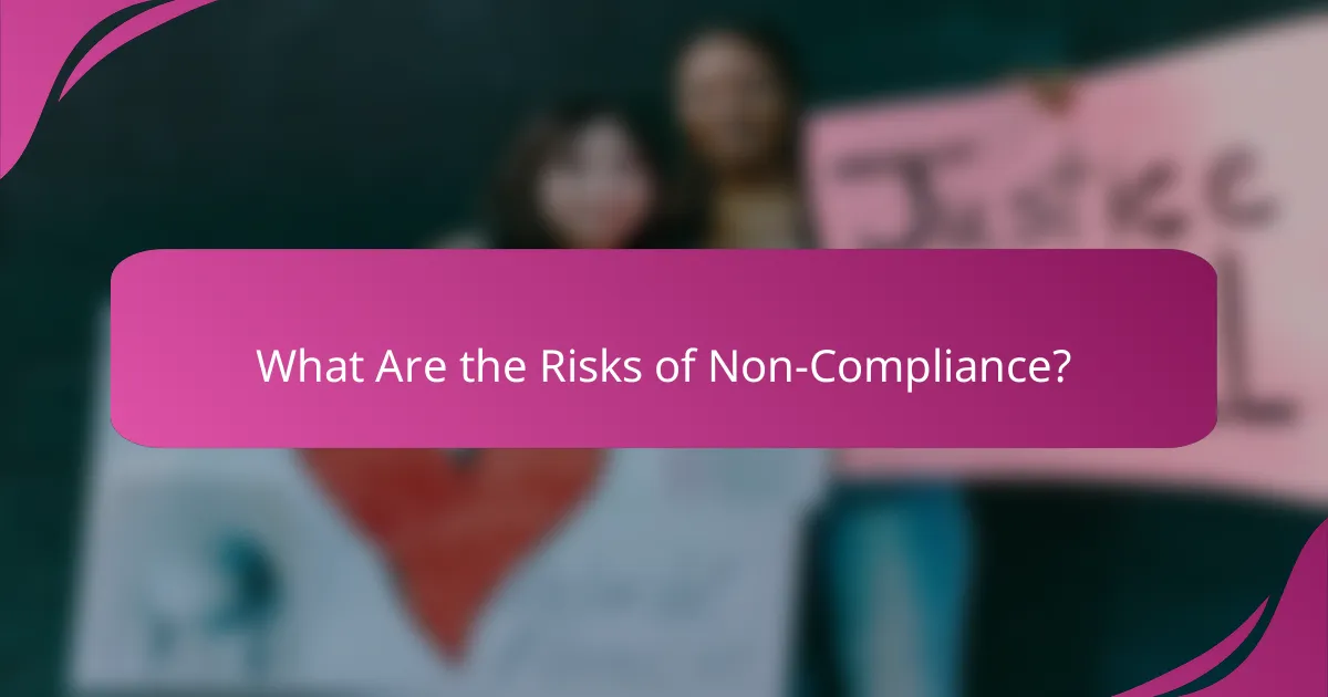 What Are the Risks of Non-Compliance?