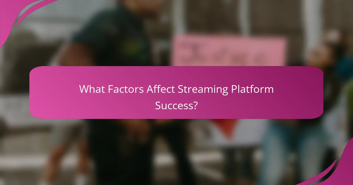 What Factors Affect Streaming Platform Success?